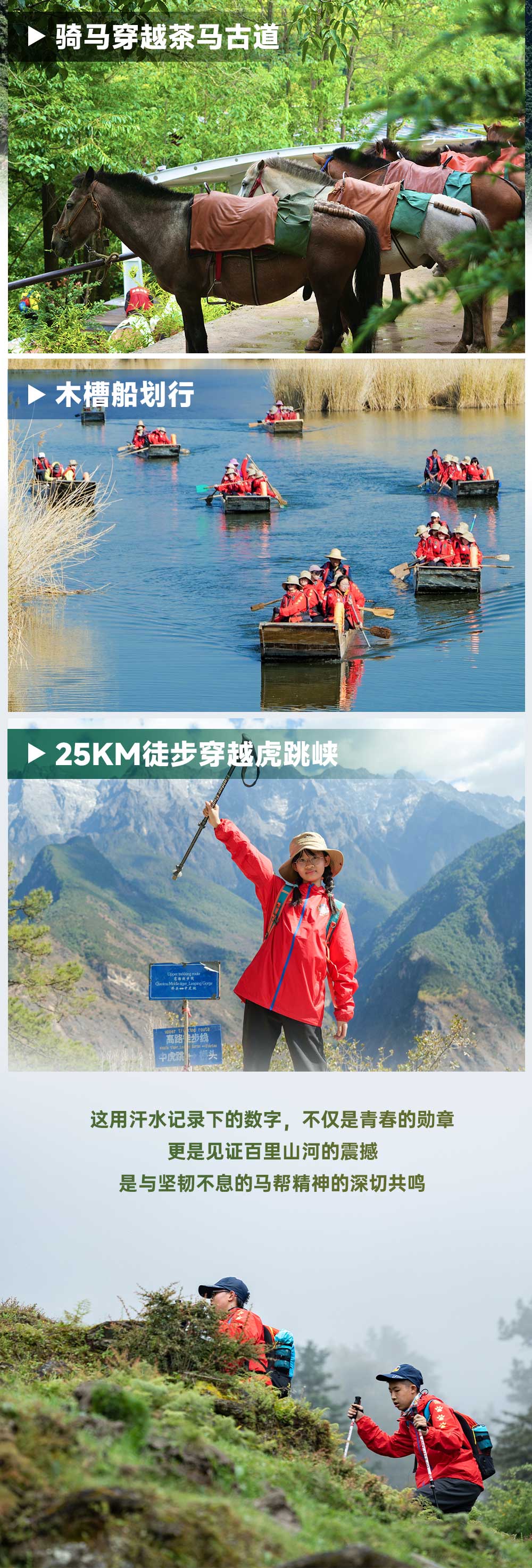 茶马古道-长图_03.jpg