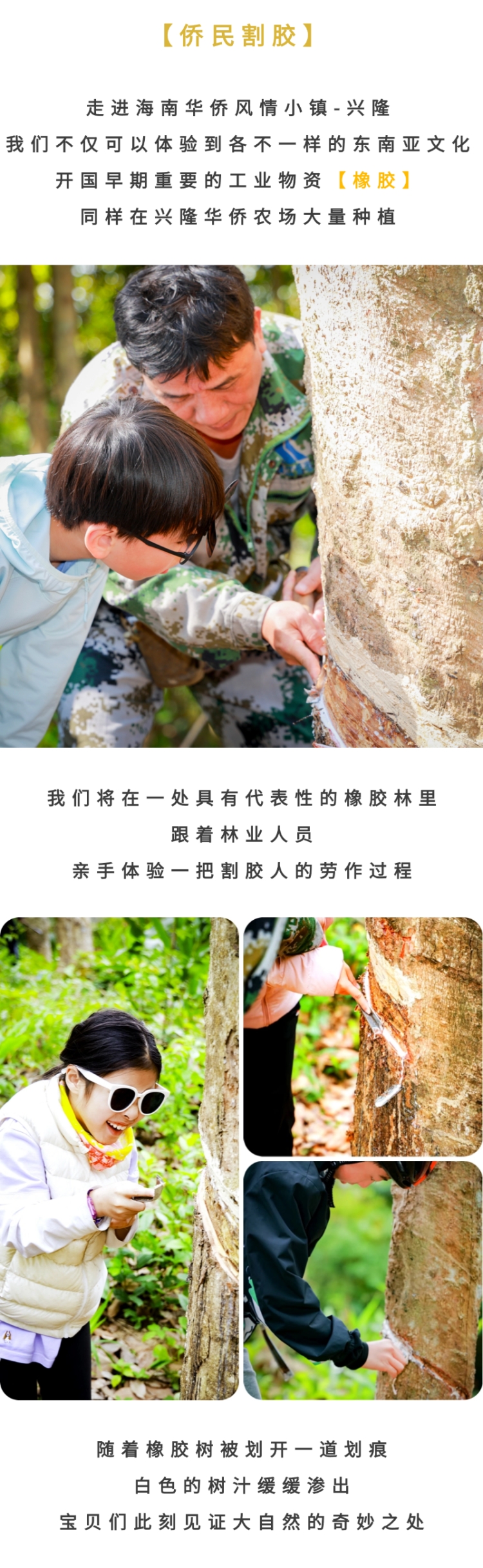 稿定设计-3.jpg