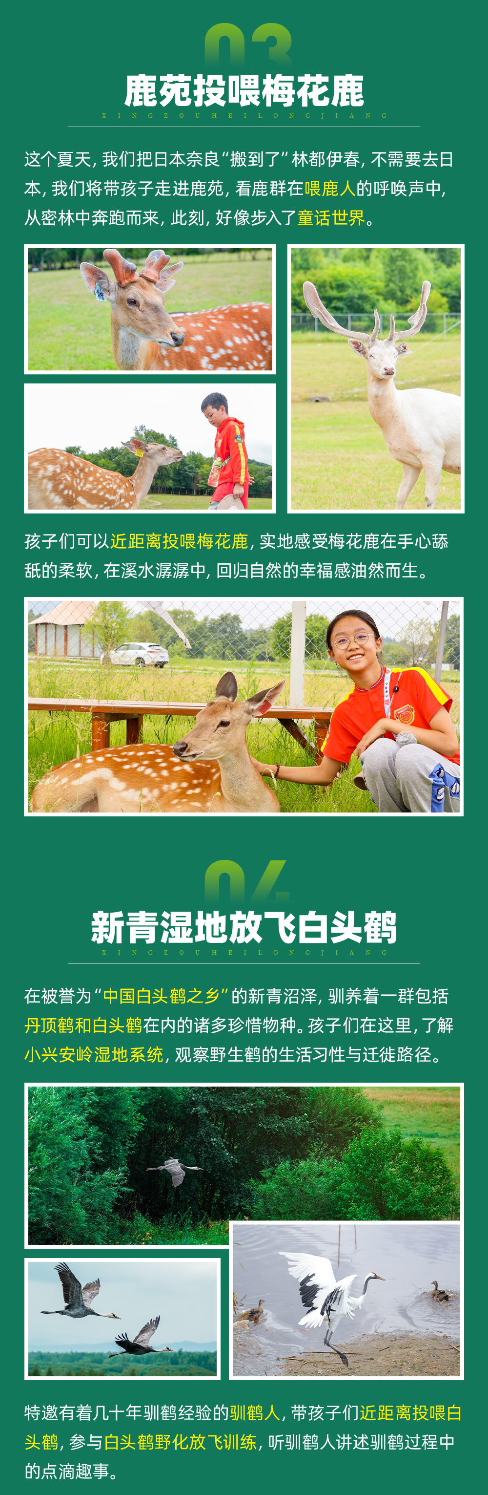 行走黑龙江长图_06.jpg