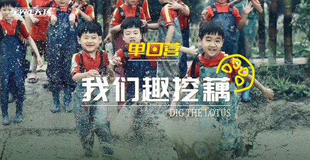 季节限定仅三场【我们“趣”挖藕】自己挖的藕吃起来更香