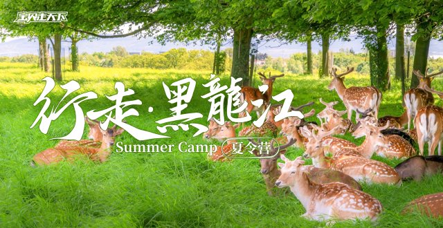 避暑首选！行走黑龙江·7天·杭州