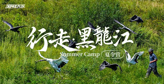 避暑首选！行走黑龙江·7天·杭州