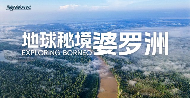 多期售罄！少量席位！地球秘境婆罗洲·10天9夜·杭州