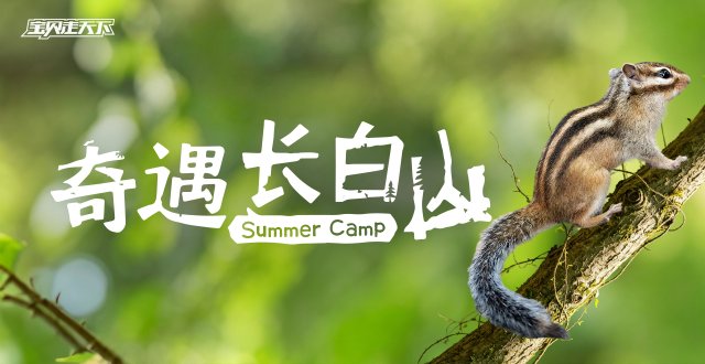 2026奇遇长白山·7天6夜-杭州