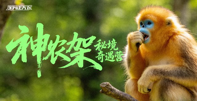 2026神农架秘境奇遇营·6天5夜-杭州
