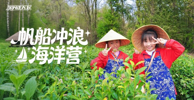 （杭州出发）2026青岛帆船冲浪海洋营·5天4夜