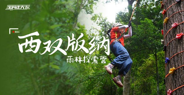 北纬21°的雨林，做自然探险家！西双版纳探索营·6天·杭州