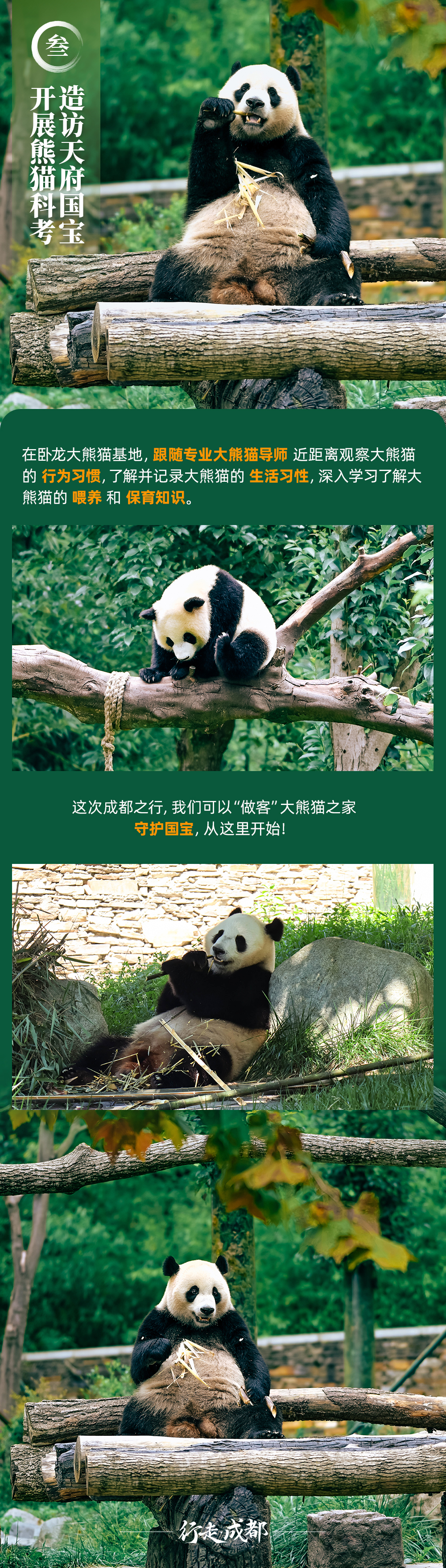 行走成都-长图 (6).jpg