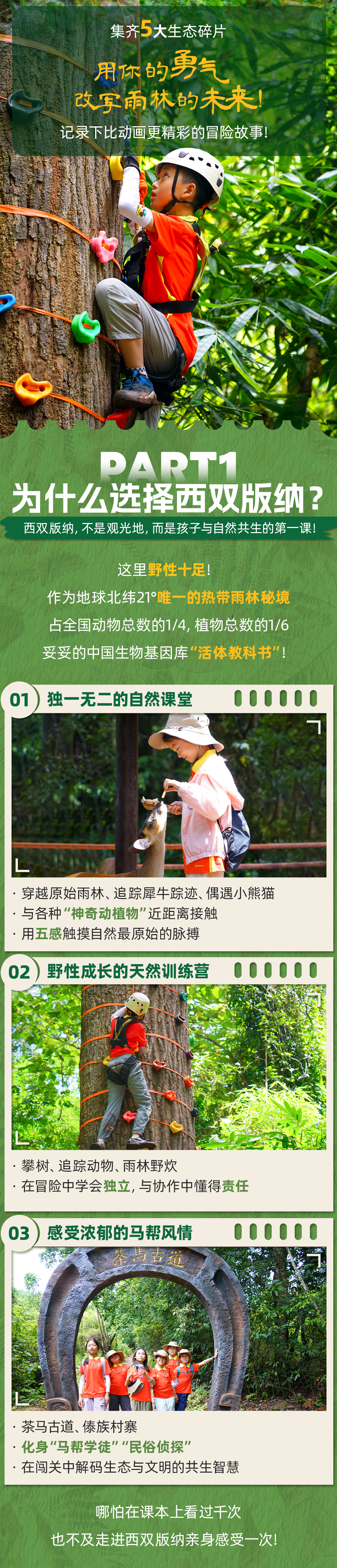 西双版纳雨林探索-长图_02.png