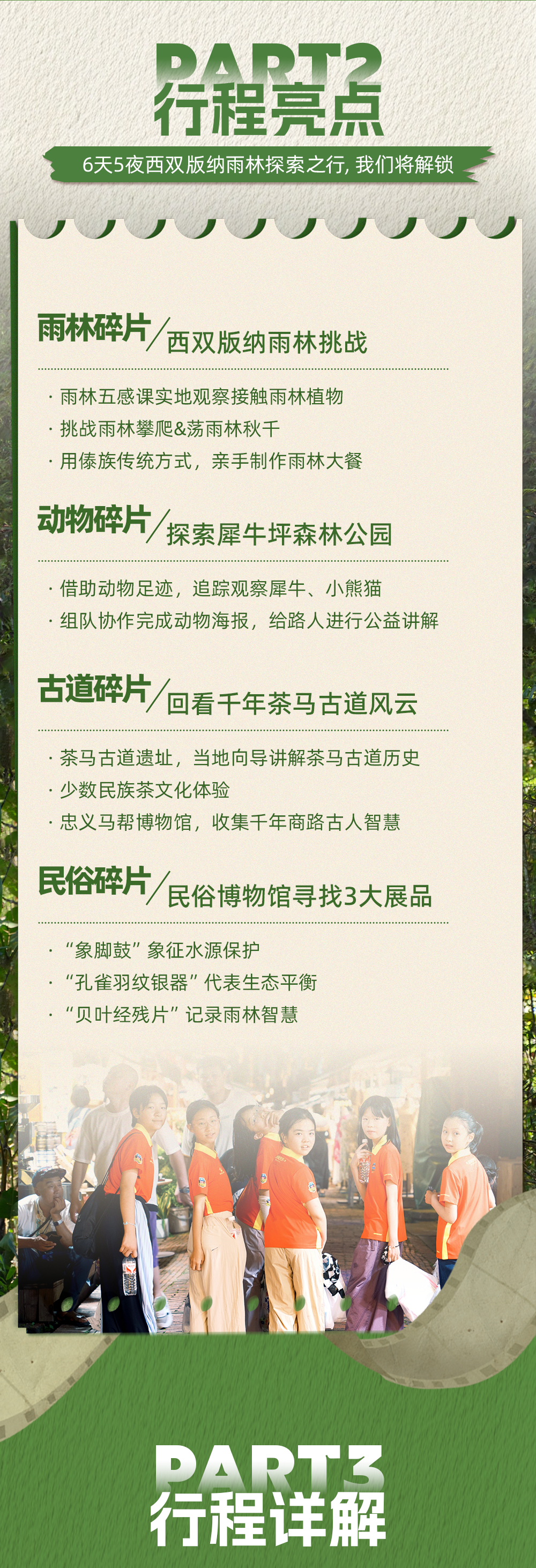 西双版纳雨林探索-长图_03.png