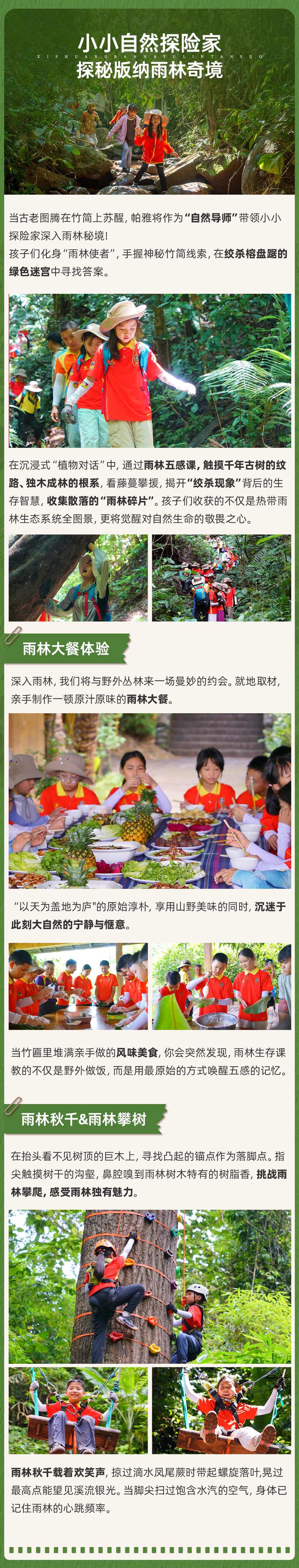 西双版纳雨林探索-长图_04.png