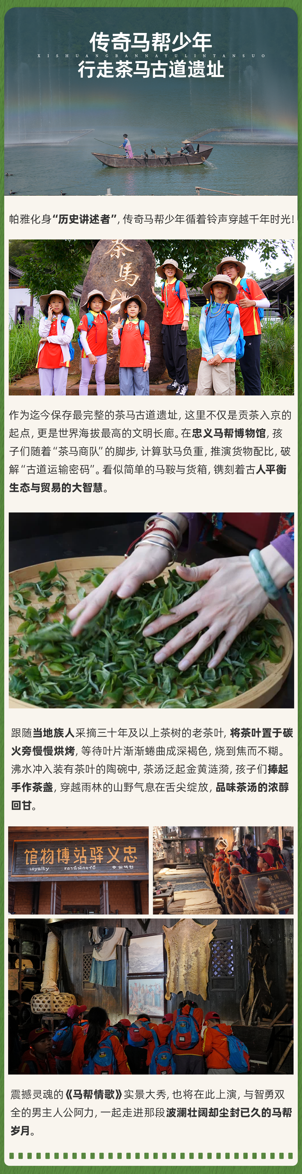 西双版纳雨林探索-长图_05.png