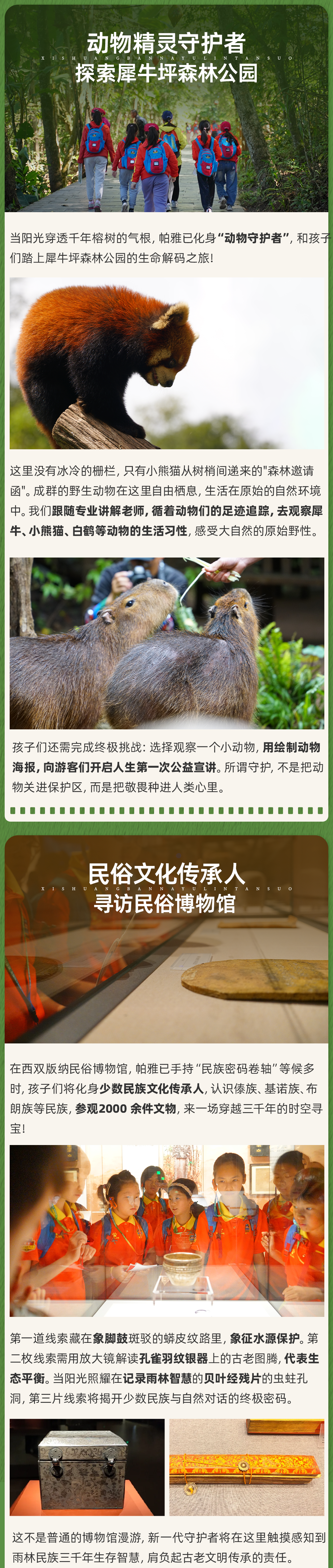 西双版纳雨林探索-长图_06.png