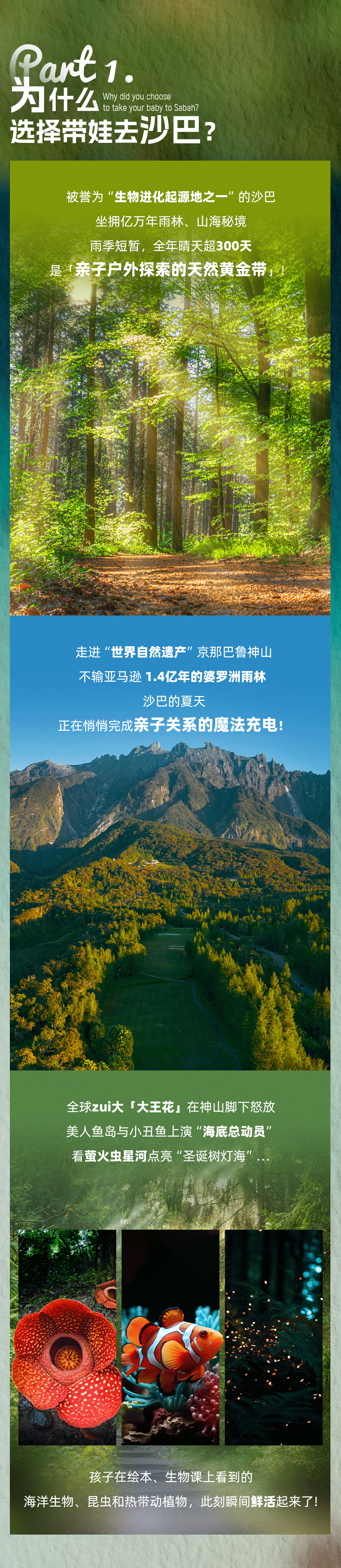 马来西亚野趣山海亲子营-长图_02.png