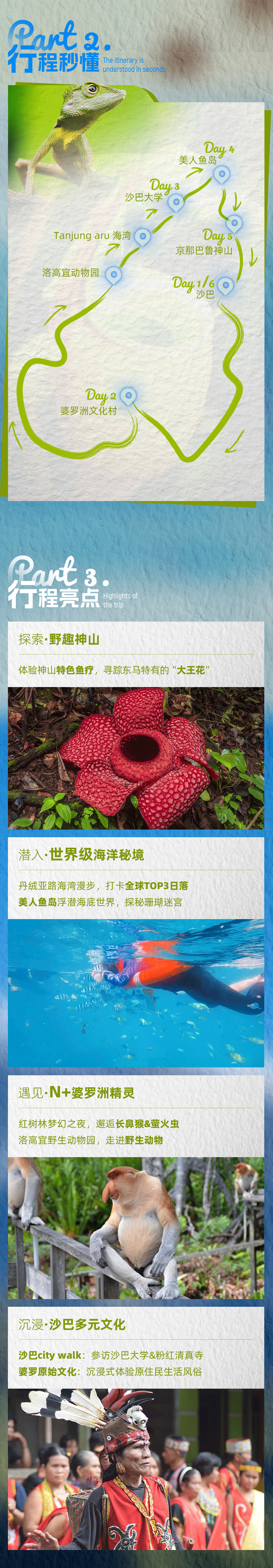 马来西亚野趣山海亲子营-长图_03.png