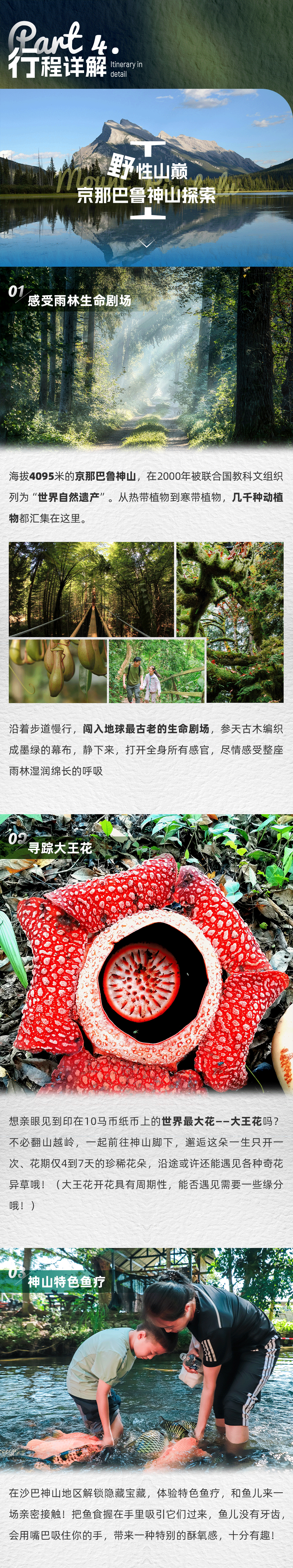 马来西亚野趣山海亲子营-长图_04.png