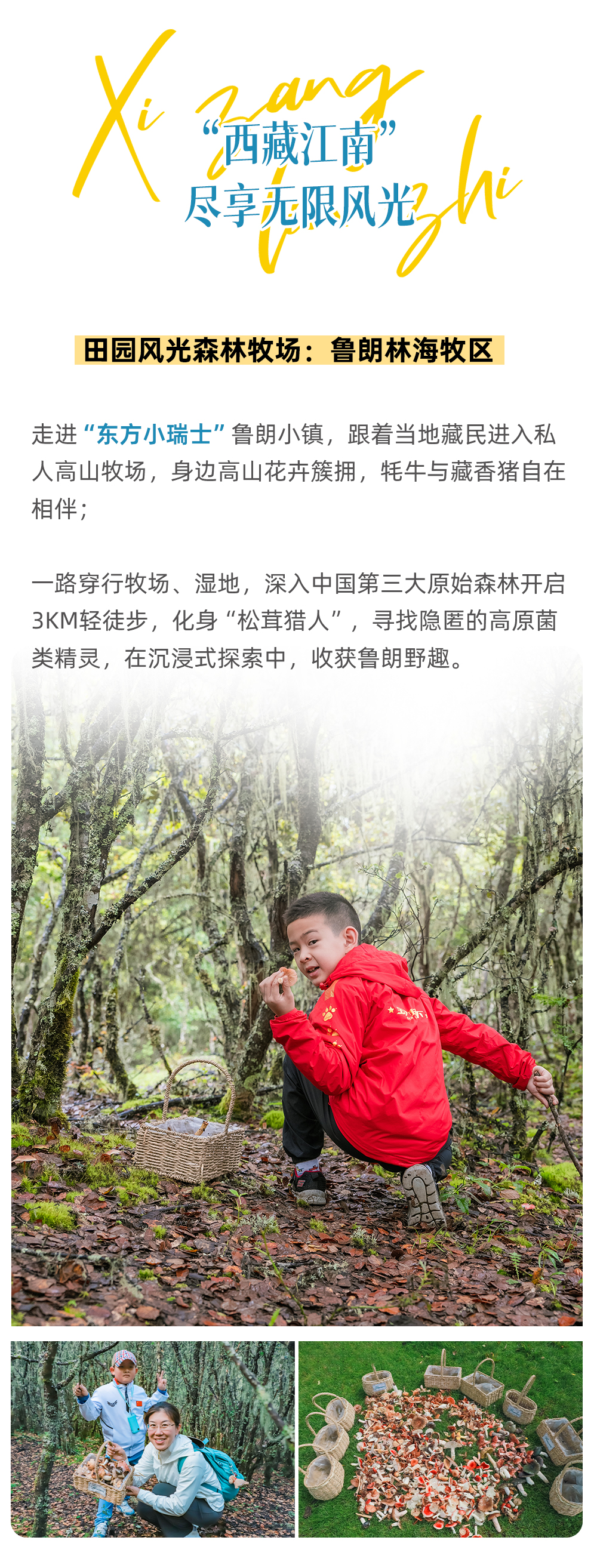 西藏亲子营-长图_06.png