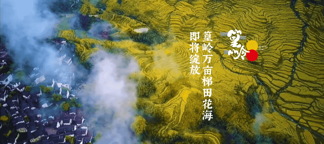 5.gif
