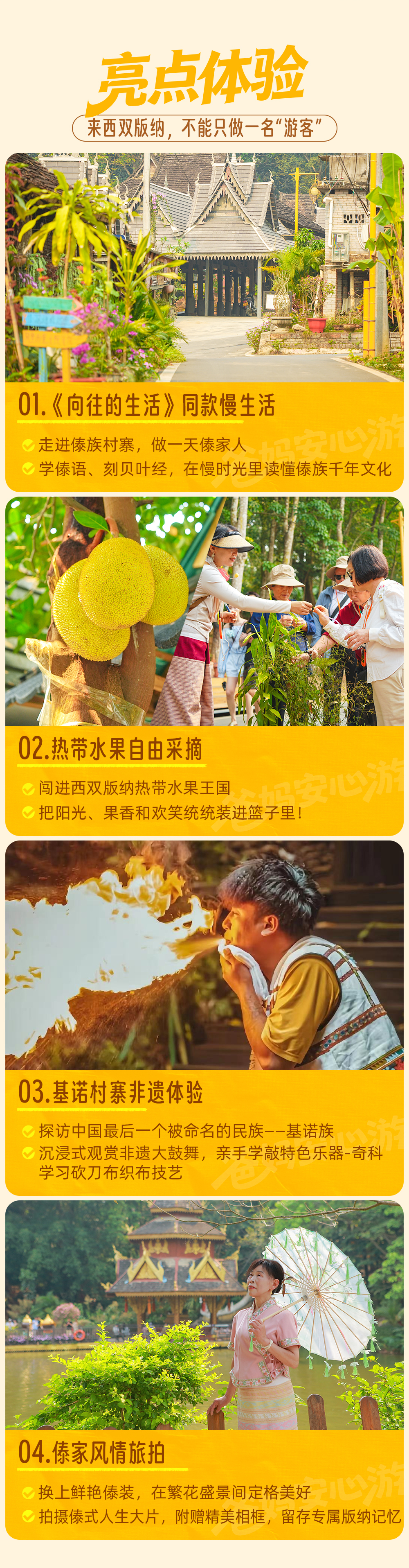 银发游版纳-长图_01_03.png
