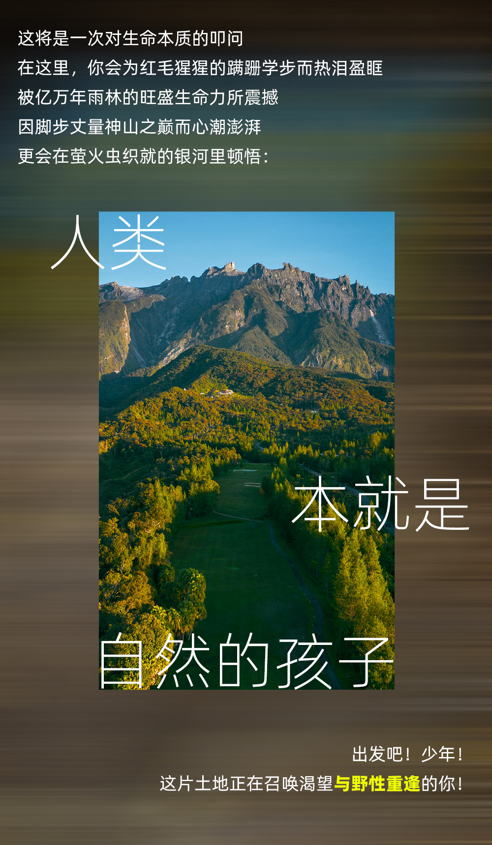 切片_04.png