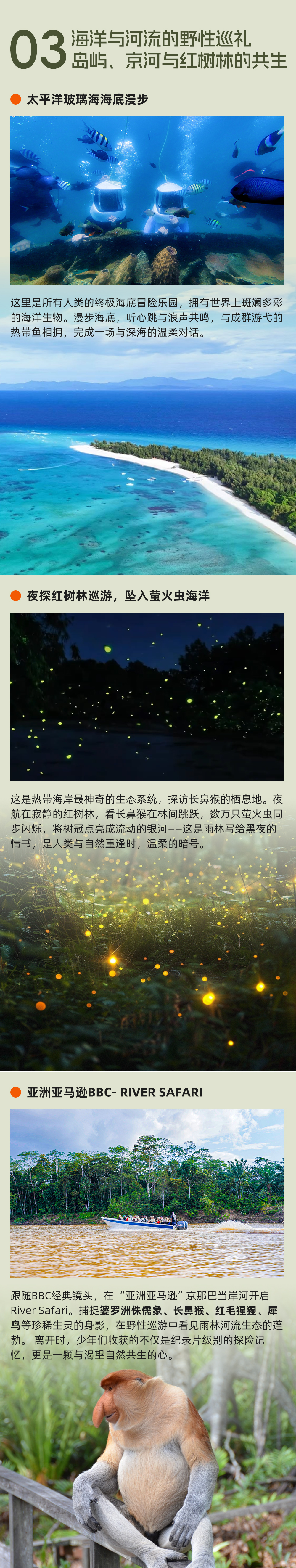 切片_07.png