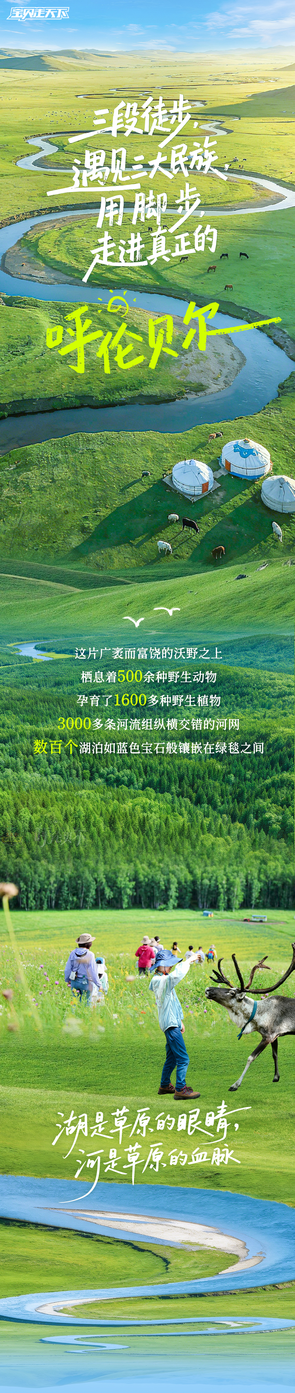 呼伦贝尔草原探索营-长图_01.jpg
