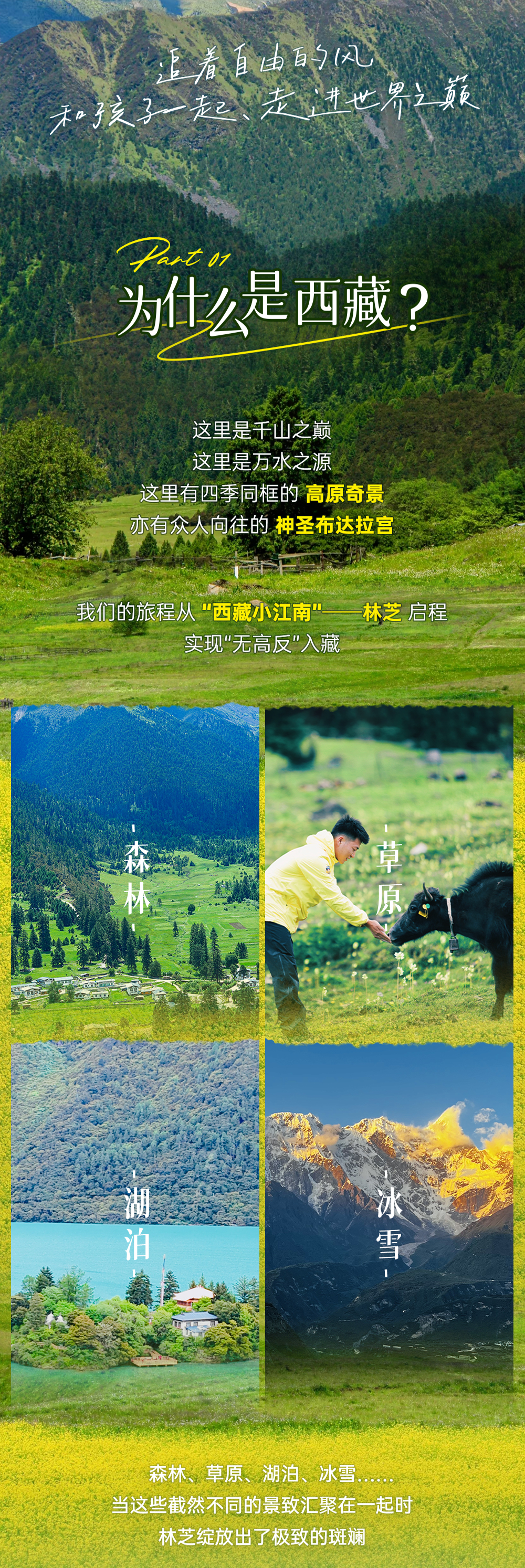 西藏亲子营-长图_02.png