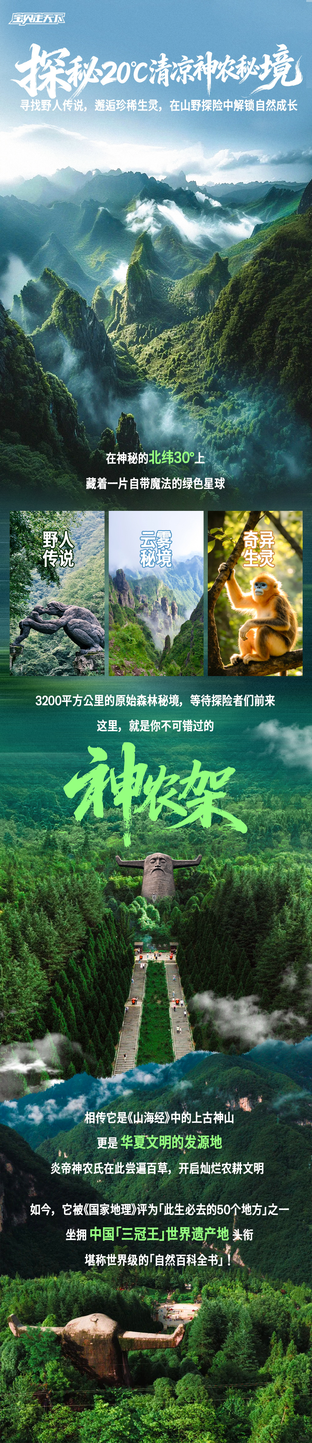 神农架秘境奇遇营-长图 (1).png