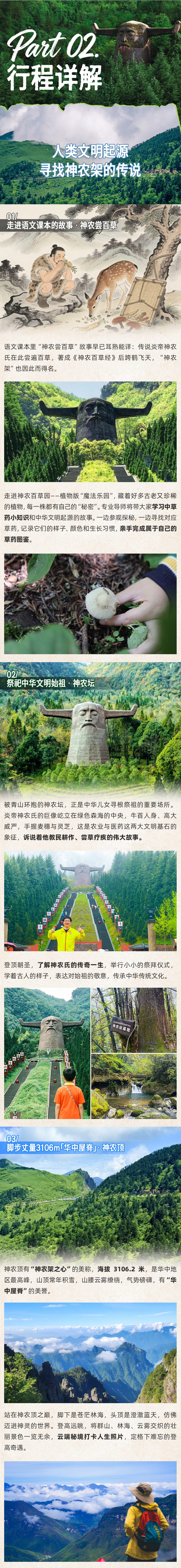 神农架秘境奇遇营-长图 (4).png