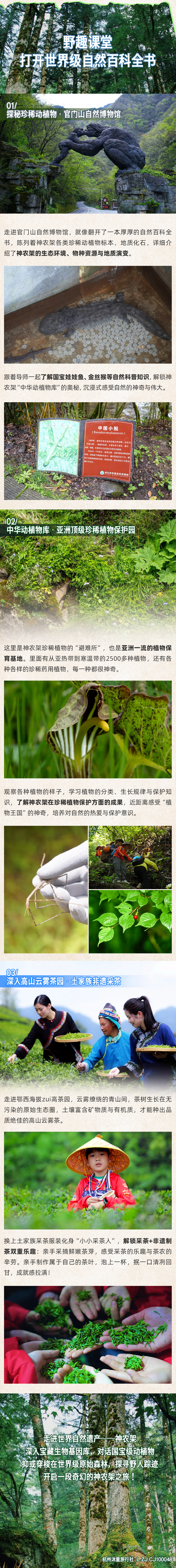 神农架秘境奇遇营-长图 (7).png