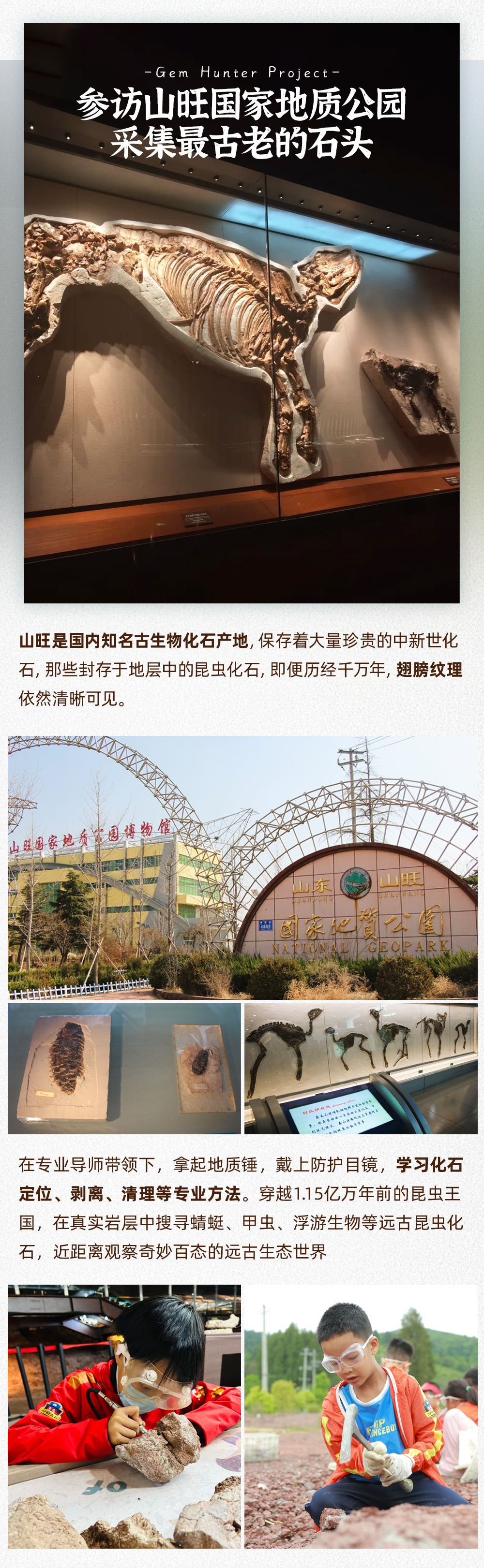 宝石猎人-长图 (7).png