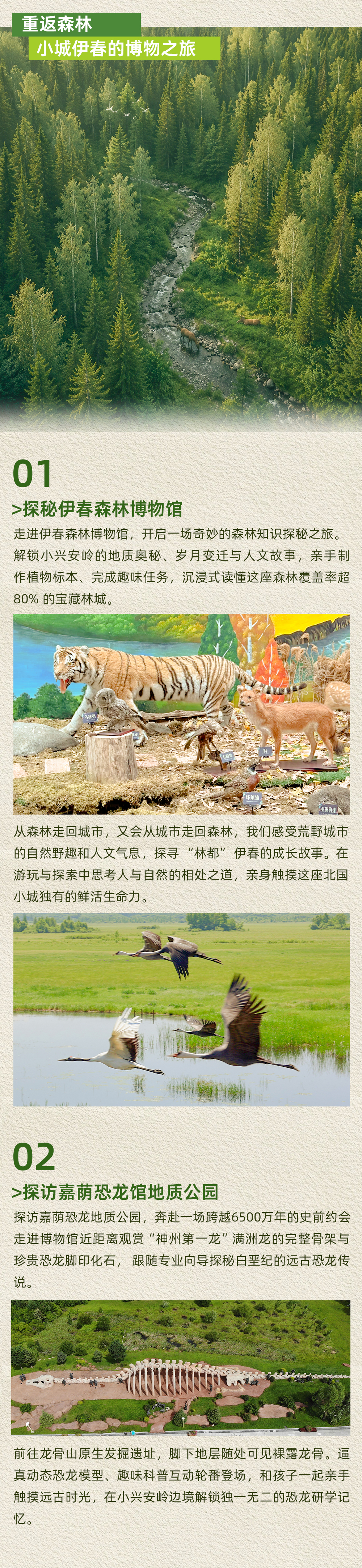 小兴安岭-长图_06.jpg
