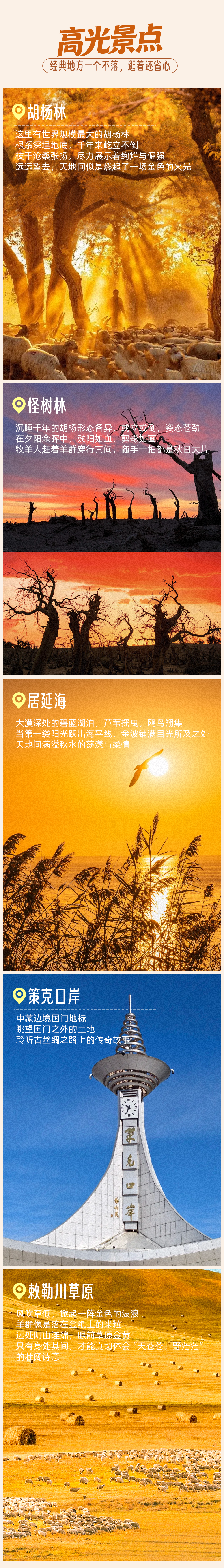 银发游金色盛宴·-额济纳旗-长图_04.png