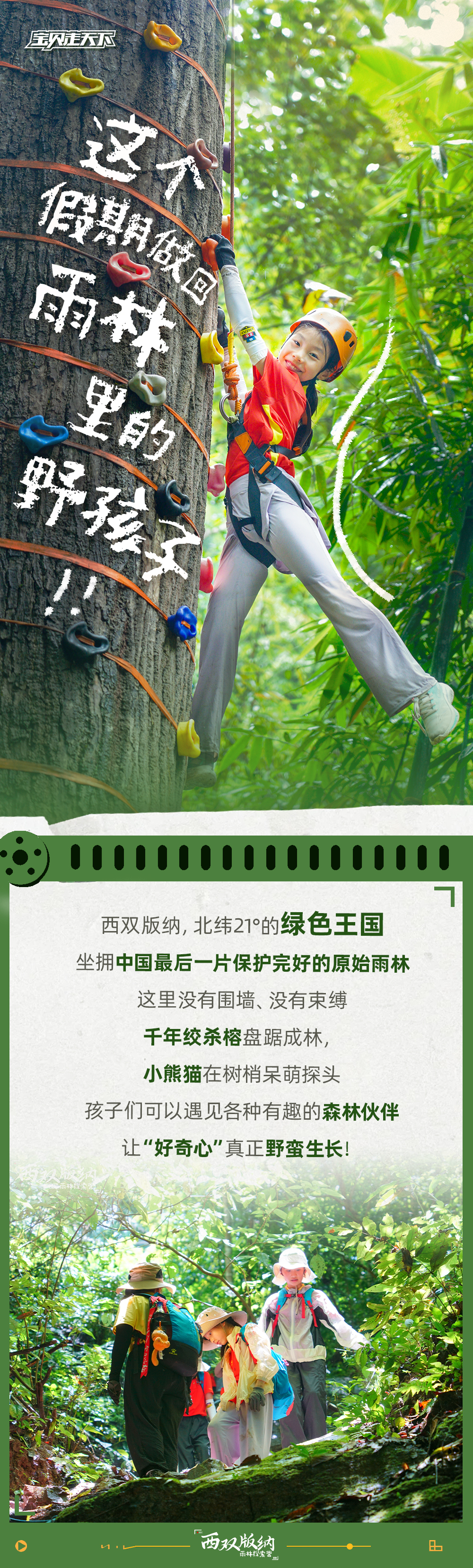 西双版纳雨林探索-长图_01.png