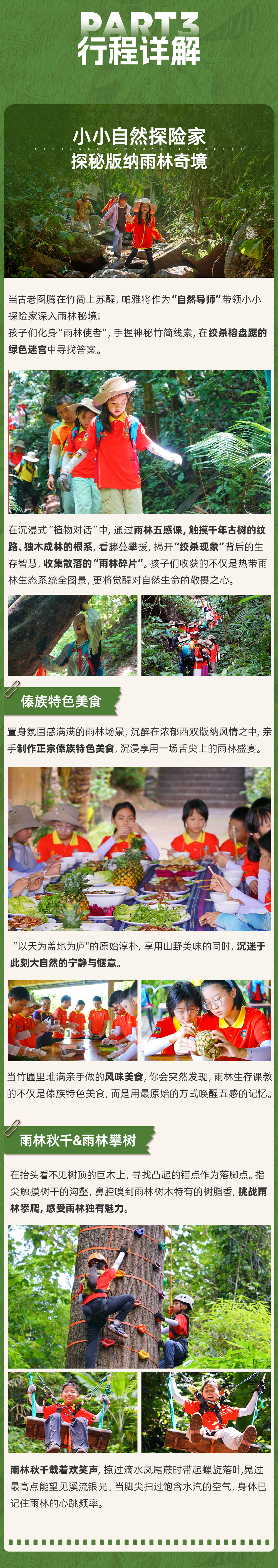 西双版纳雨林探索-长图_04.png