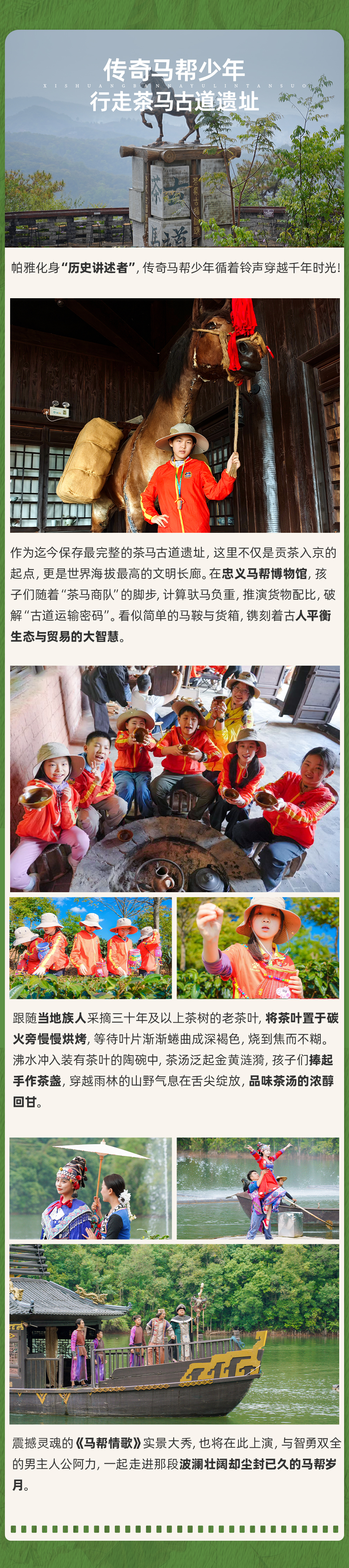 西双版纳雨林探索-长图_05.png