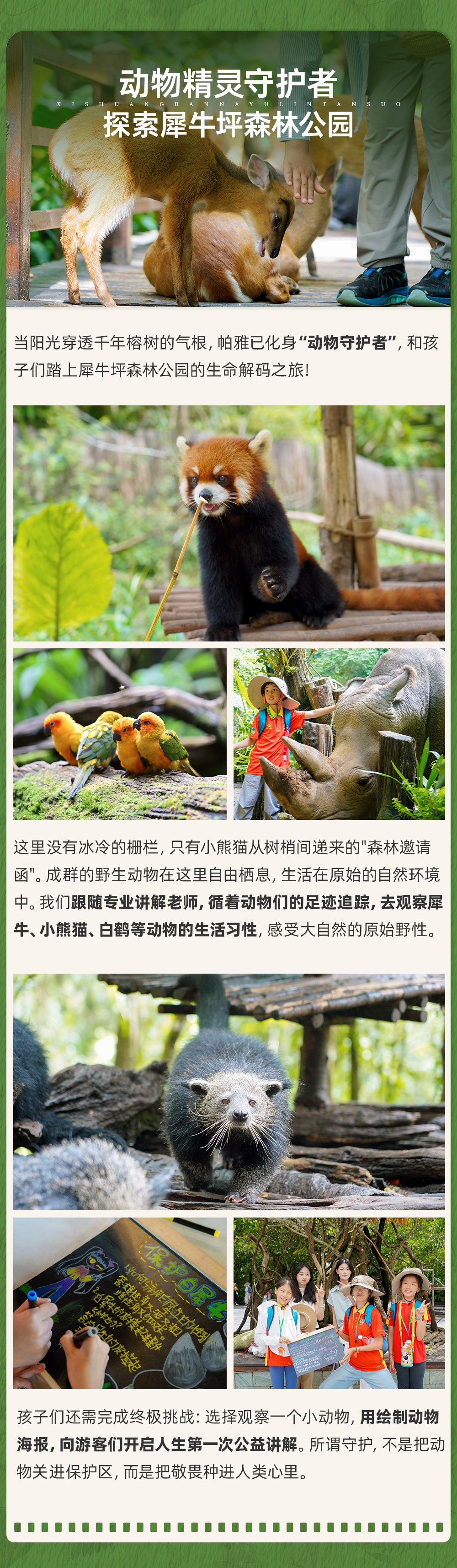 西双版纳雨林探索-长图_06.png