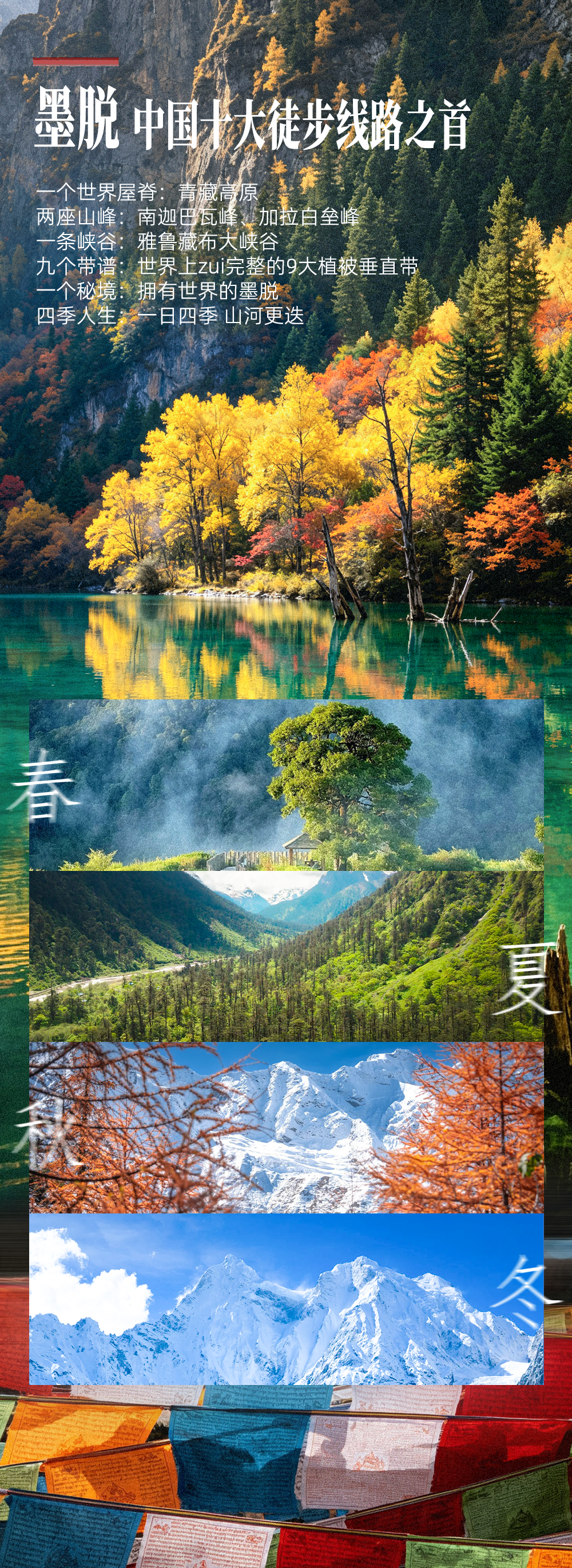 西藏墨脱少年营-长图 (2).png