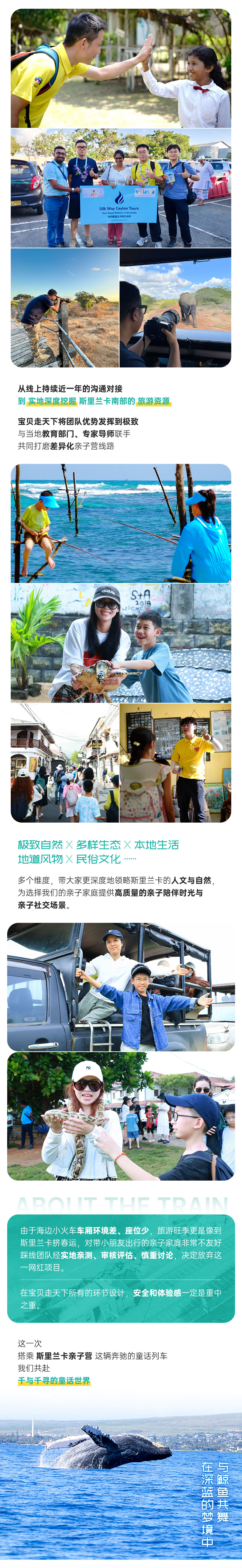 斯里兰卡-长图_03.jpg