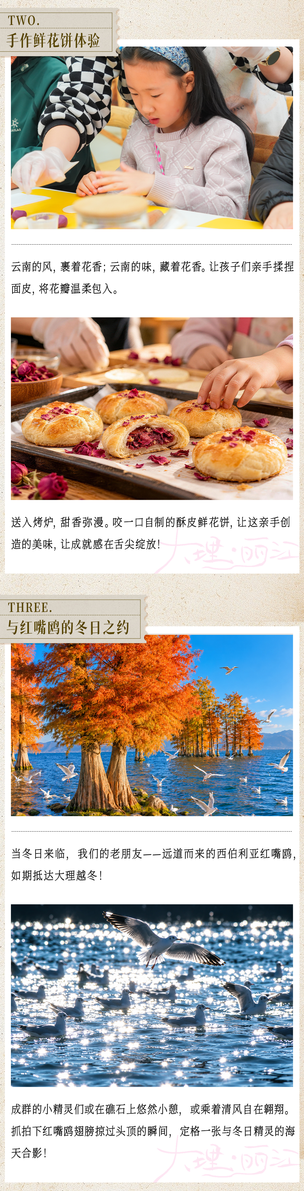 大理丽江亲子营-长图_15.png