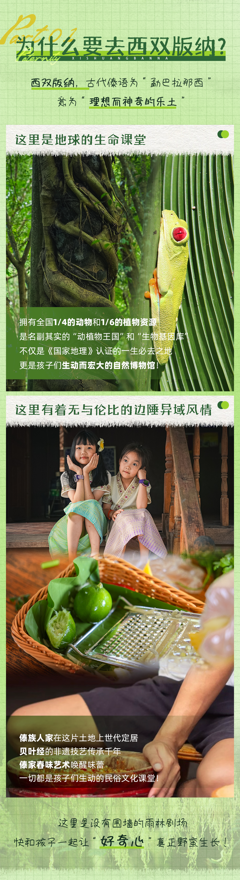 西双版纳亲子营-长图 (2).png