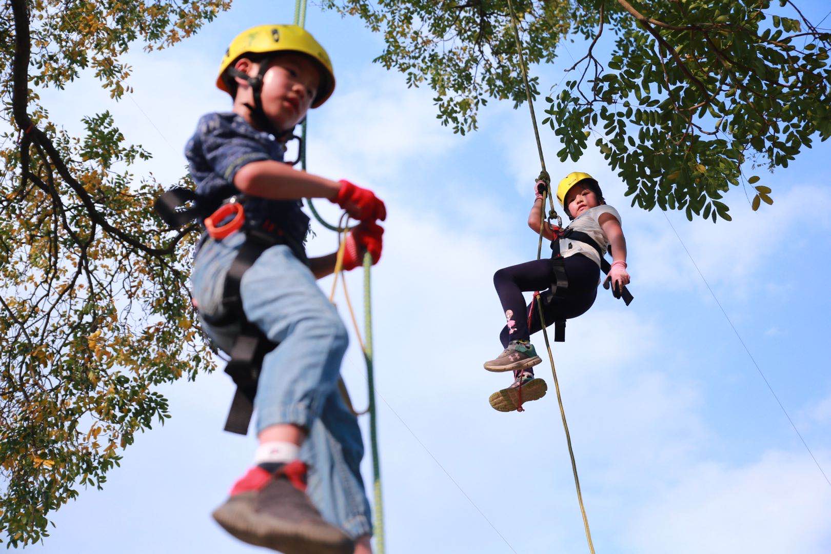 的儿童户外教育专家-专业国内国外夏令营(冬令营)素质教育研学旅游机
